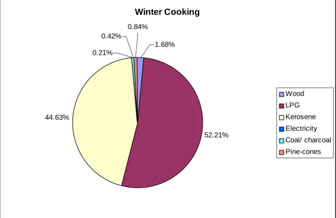 Figure 12 - Breakdown of   Secondary Fuel Source in Himachal Pradesh (per cent of  households reporting use of secondary fuels) 