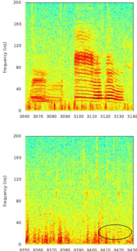 Fig. 5. Time-frequency representation of two blue whale’s song detections.