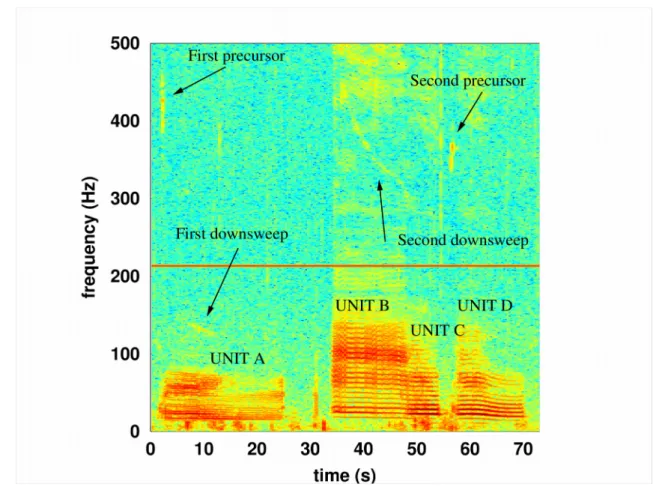 Figure 2.  Time frequency representation of a SEP2 song recorded off Isla Chañaral, on February   2,   2017   (Fast   Fourier   transform,   Blackman   window   of   65,536   points, overlapping 75%) using Octave software (Eaton, Bateman, and Hauberg, 2009