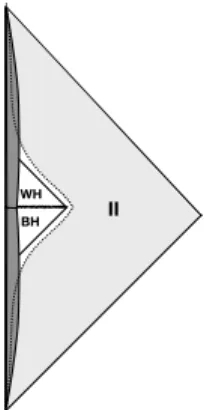 FIG. 2: The full life of a black-white hole.