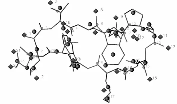 Figure III.14.  3D structure of the 12-residue peptide HP7 (sticks) superimposed on the 22 all-atom Amber MEP point  charges at t = 1.4 bohr 2  (black diamonds), the 23 PASA ED peaks at t = 1.4 bohr 2  (small grey spheres), and the 28-point 