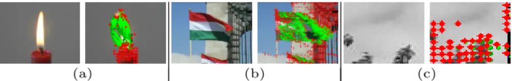 Fig. 4. (Best viewed in color) Samples (a), (b), (c) of directional trajectories extracted from the corresponding videos in UCLA, DynTex, and DynTex++ respectively in which green lines show paths of motion points through the consecutive frames.