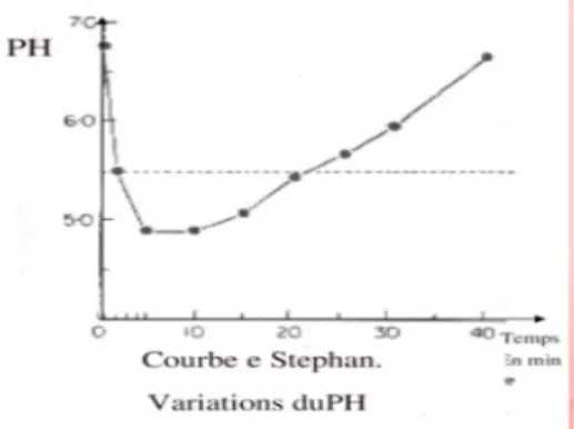 figure 4 : Courbe de Stephan montrant la variation de pH au cours du temps  après consommation de sucres fermentescibles (1966)
