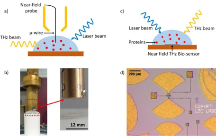 Fig. 1  Experimental setup of THz absorption near-field spectroscopy. (a) A  drop of the biological sample placed under the near-field probe, which is  directly immersed into the solution