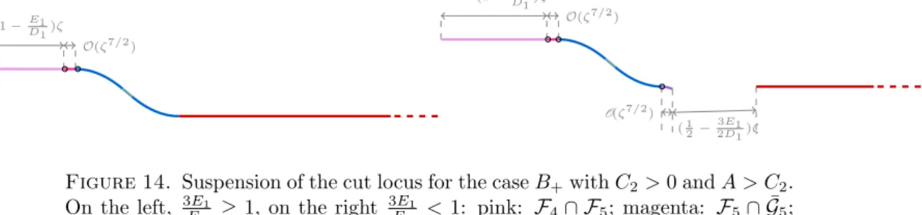 Figure 14. Suspension of the cut locus for the case B + with C 2 > 0 and A > C 2 