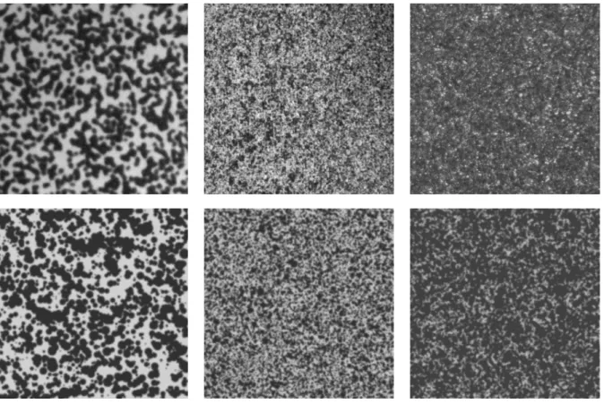 Figure 1: First row: typical speckle images proposed in [47] for DIC program assessment