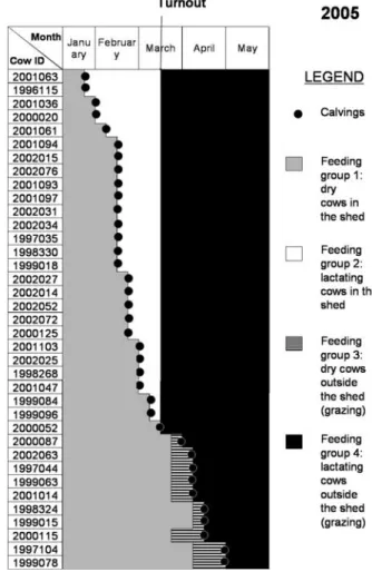 Figure 3 Extract of the feeding and breeding calendar concerning the dairy cows in Spring 2005.