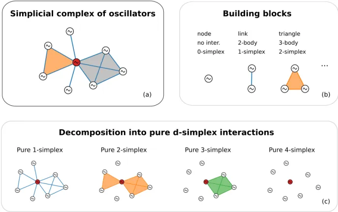 FIG. 1. Population of oscillators with higher-order interactions on simplicial complexes