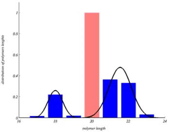 Fig. 3: (Color on-line) Distribution of polymers length after 20 generations (blue), starting with 5 identical protocells with polymer length of 20 monomers (red)