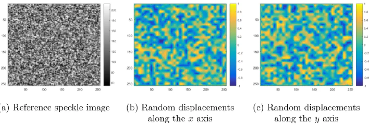 Figure 2: Typical synthetic speckle images and random displacement (in pixels) along x and y used in Speckle dataset 1.0