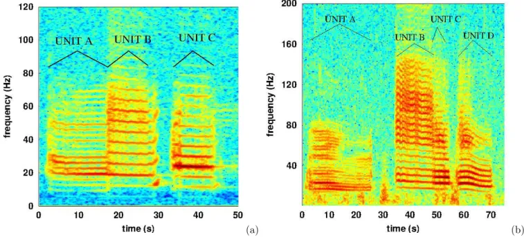 Figure 1: (a) Time/frequency representation of a phrase of the SEP1 song, recorded in the Corcovado gulf, Chile, 2012 March 1st, sample rate f s =2 kHz, FFT 2 12 points, overlap of 90%, Blackman window