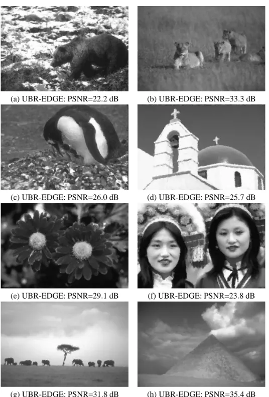 Figure 12: Salt and pepper noise removal using the algorithm UBR-EDGE for different images of the Berkeley database corrupted with a salt and pepper noise of 70%