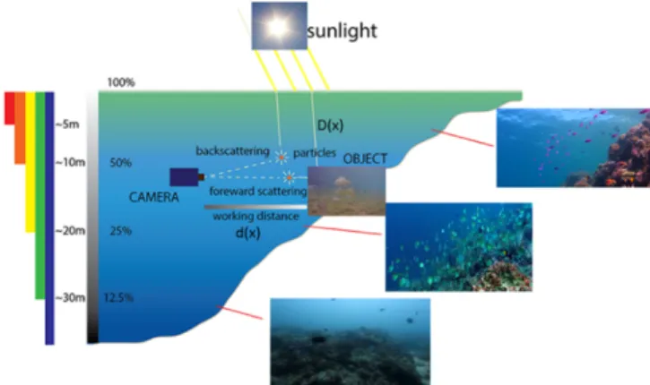 Fig. 1. The basic model of underwater optical imaging and the selective fading of  underwater lighting 