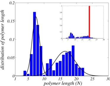 Figure 3. Distribution of polymers length after 4500 divisions (blue), starting with 5 identical protocells with polymer length of 20 monomers (red) (shown in the inset)