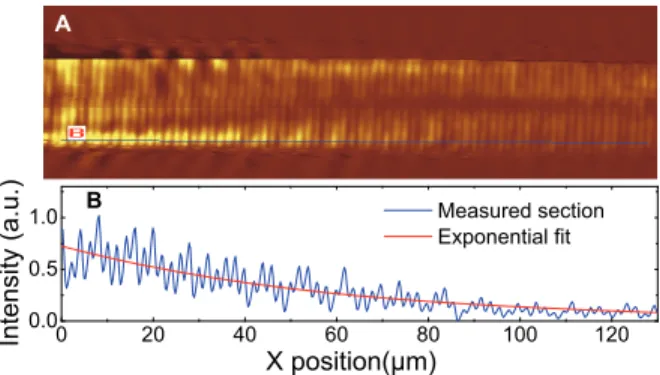 Fig. 6. (A) NSOM image of a stright plasmonic waveguide with only one transverse mode propagating