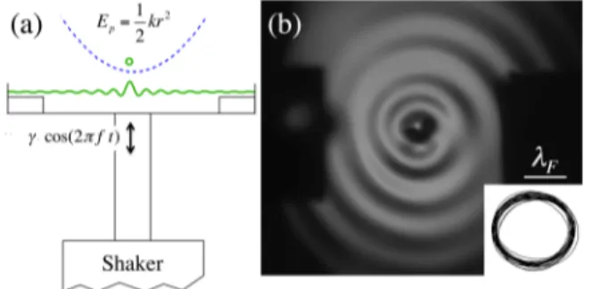 FIG. 1. (a) Schematic of the experimental setup, in which an oil droplet encapsulates a small amount of ferrofluid and is trapped in a harmonic potential E p = kr 2 /2