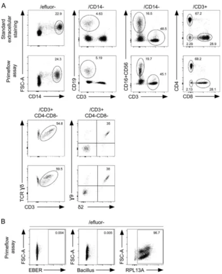 Figure S1. Conservation of extracellular staining in PrimeFlow EBER assay conditions. (A) FACS dot plots for common extracellular markers (CD3, CD4, CD8, CD14, CD19, CD16, CD56, γδ TCR, V δ 2 TCR, and V γ 9 TCR) from PBMCs of a healthy donor using a conven
