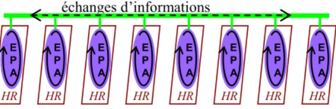 Figure 5. Les EPA dans une structure holonique horizontale de HR 