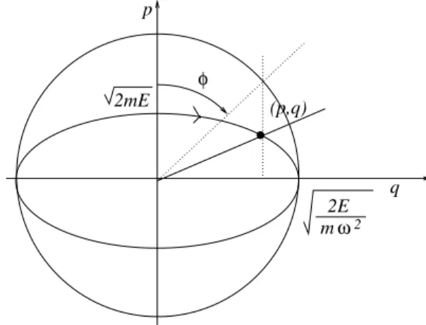 Fig. 4. Courbe d’´energie constante pour l’oscillateur harmonique.