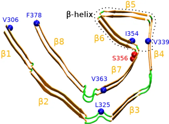 Figure 1. Structure of the cryo-EM R3-R4 tau fibril spanning the amino acids 306- 306-378 from Alzheimer’s patient brain