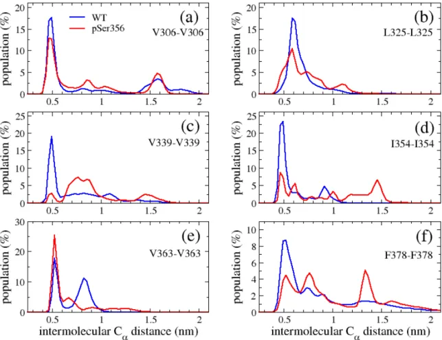 Figure 5.  Distributions of intermolecular distances between the Ca atoms of two  specific residues averaged over the five MD simulations of WT and pSer356
