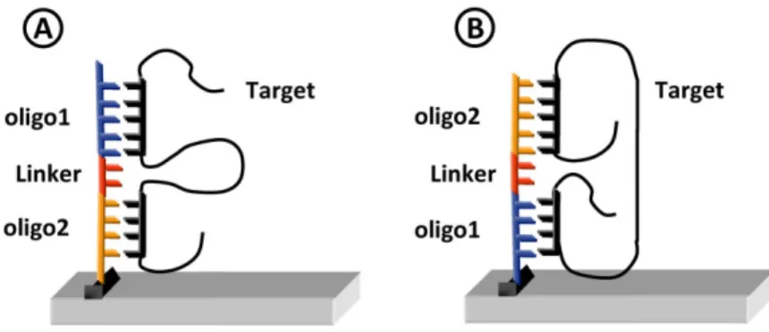 Fig. 3. Representation of the GoArrays strategy. In this strategy, two short