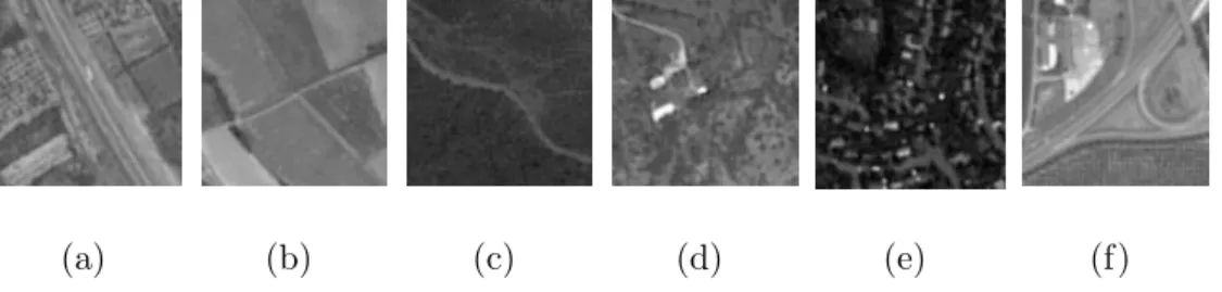Fig. 2. Panchromatic SPOT5 images of cartographic objects. (a). Highway, (b).