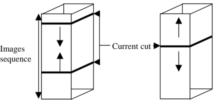 FIG. 7 : Different ways of the contour propagation in the images sequence.