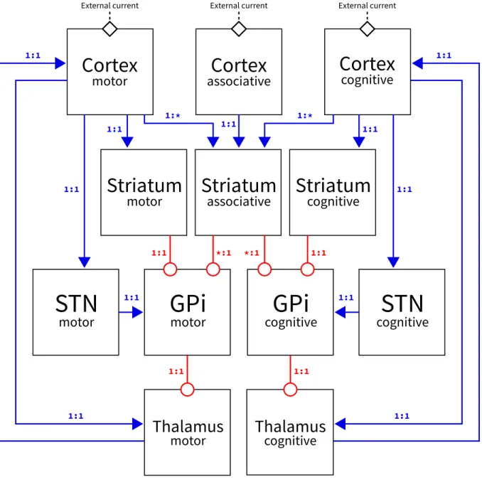 Figure 3: The figure describing the model architecture has been redesigned from the ground up in order to have a unique figure showing all excitatory and inhibitory connections at once as well as the external current insertion points