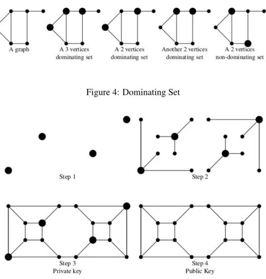 Figure 4: Dominating Set