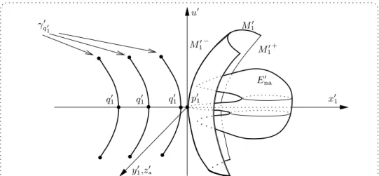 Figure 5: The family of real analytic arcs on the left side of the wallu′y1′,z′∗x′1γq′′1q′1q′1q1′