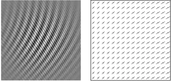 figure 2: sum of two chirped components: source image (a) and ridge (b)