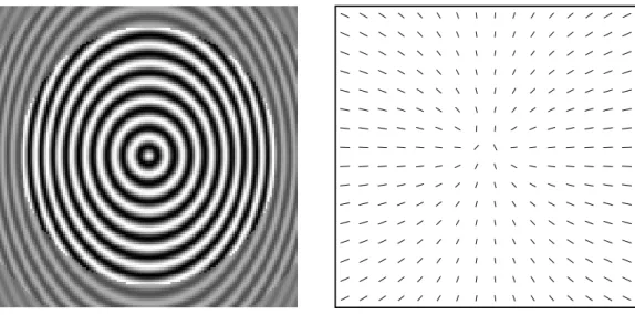 figure 4: ”elliptic example”: source image (a) and ridge (b)