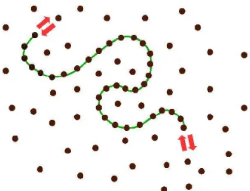 FIG. 1: Graphical sketch of the monomer bath. The chain is in grand canonical equilibrium with a bath of inert monomers.