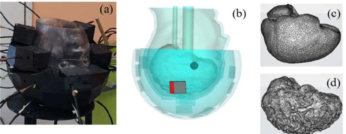 Figure  5  displays  the  3D  head  phantom  with  a  stroke,  placed  inside  a  microwave  imaging system inspired by the one described in [5], and two models of the brain