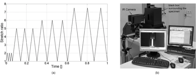 Figure 1 - Mechanical loading conditions and overview of the experimental setup.