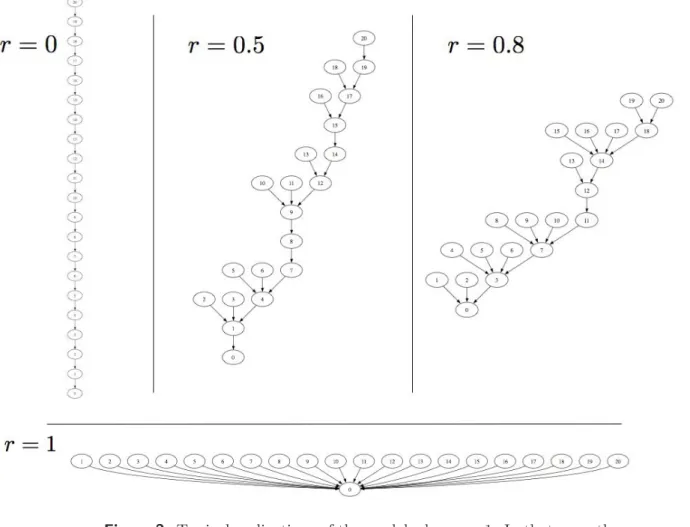 Figure 2. Typical realizations of the model when p = 1. In that case, the average height g increases in a large-world way, i.e