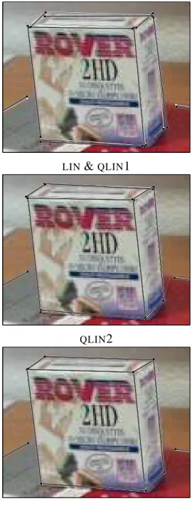 Figure 4: Zoom on some original (white) and reprojected lines (black) for the