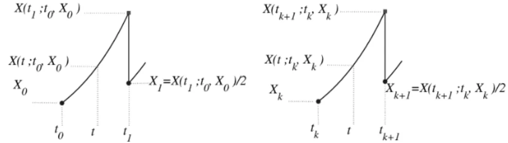 Figure 1. A schematic representation of the construction of the sequence X~ k . X (t; t k , X k ) denotes the amount of X –molecule at time t during the continuous growth, starting from an amount X k