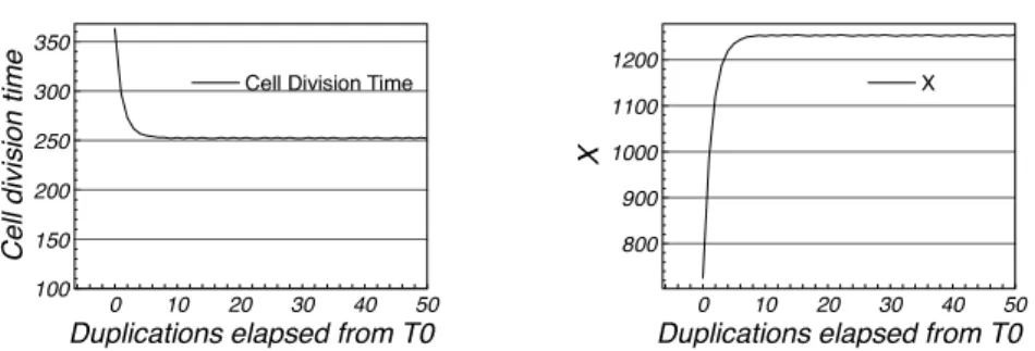 Figure 5. Synchronization in a thick vesicle (we suppose a spherical cell and that the volume of spherical shell increase with the same thickness)