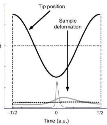 FIG. 1: Sketch of the action of the oscillating tip on the sample. The viscoelastic behavior of the surface (γ s , k s ) implying that it can be deformed under the action of the tip-surface attractive force