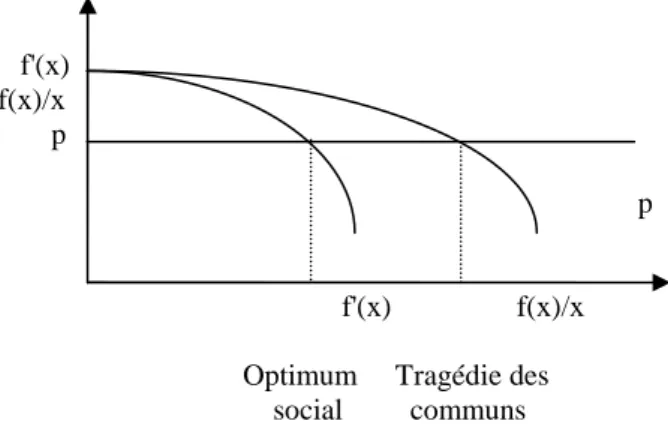 Figure 4 Une représentation graphique du phénomène   de &#34;tragédie des communs&#34; 