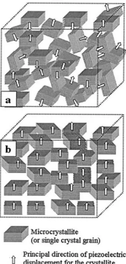 Fig. 1. 共 a 兲 Schematic drawing of a randomly oriented crystallite structure and 共 b 兲 an organized structure with a preferred  orienta-tion in the vertical direcorienta-tion If the piezoelectric tensor matches the vertical axis and the electric field dire