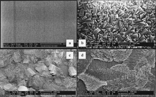 Fig. 7. Scanning electron microscopy of samples: 共 a 兲 S4, 共 b 兲 S5, 共 c 兲 S6, and 共 d 兲 S7.