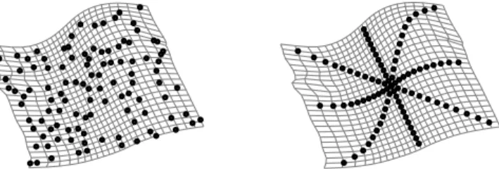 Figure 4: Model initialization. (left) Reconstructed 3D points and the interpolating sur- sur-face