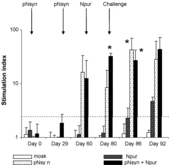 Fig. 3. In vitro IFN-␥ production after BRSV antigenic stimulation. Blood samples were tested before at the time of each vaccination (days 0, 29 and 60), at challenge (day 80) and at 6 and 12 days after challenge (days 86 and 92)