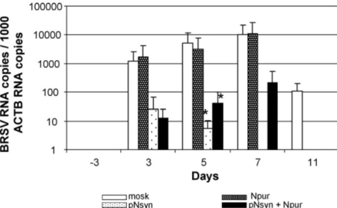 Fig. 5. Total RNA was extracted from BAL ﬂuids collected 3 days before and 3, 5, 7 and 11 days after challenge