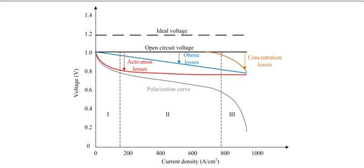Fig. 2 Various voltage losses and polarization curve of an operating PEMFC [14]