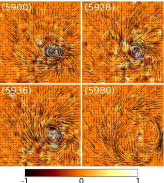 Fig. 10. Phenomenology of the topological transition. The topological b-field is repre- repre-sented in colors using the bottom colormap; arrows are the electron spins and contour lines the z component of the magnetization (it shows the skyrmion core)