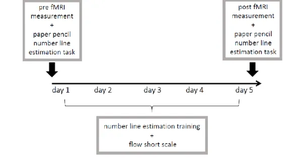 Fig.  1:  Study  design.  Before  and  after  a  five-day  number  line  estimation  training  fMRI  measurements  were  244 